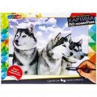 Набор для росписи холстов по контуру, по номерам  CANV30X40-MULTI47 Multi Art