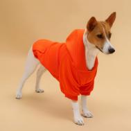 Толстовка для животных с капюшоном, размер s (дс 35 см). оранжевая NO BRAND