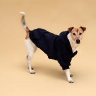 Толстовка для животных с капюшоном, размер 2xl (дс 55 см). синяя NO BRAND