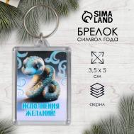 Брелок для ключей на кольце NO BRAND