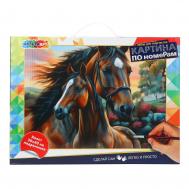 Набор для росписи холстов по контуру, по номерам  CANV30X40-118482 Multi Art