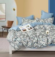 Постельное белье 2-х сп Евро (2 нав. 70х70) Viola
