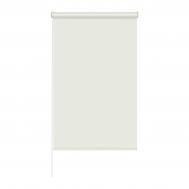 Рулонная штора "SKY", 50x160 см Garden