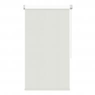 Рулонная штора "Gammara BLACKOUT", 40x170 см Garden