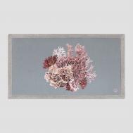 Полотенца Togas