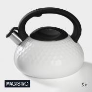 Чайник (24х22х18 см) Magistro