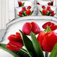 Комплекты постельного белья TANGO