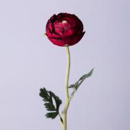 Цветок Ранункулюс (50 см) LEFARD