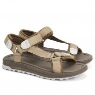 Мужские сандалии , коричневые Clarks