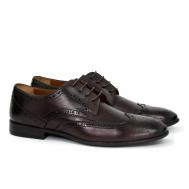 Мужские дерби брогированные , коричневые Clarks