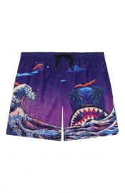 Плавки-шорты Sprayground