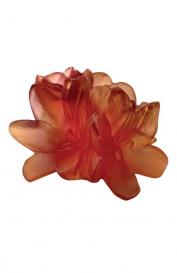 Цветок Safran маленький Daum