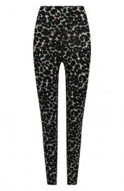 Хлопковые легинсы Electric and Rose