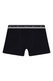 Боксеры Story Loris