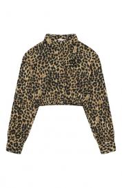 Хлопковая рубашка Blumarine