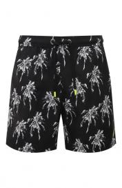 Плавки-шорты BARROW