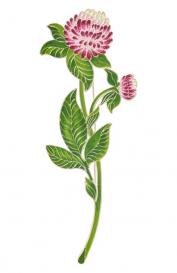 Брошь Клевер Русские Самоцветы