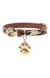 Ошейник для собак Dolce&Gabbana