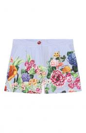 Хлопковые шорты Dolce&Gabbana
