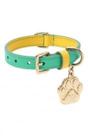 Ошейник для собак Dolce&Gabbana