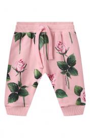 Хлопковые джоггеры Dolce&Gabbana