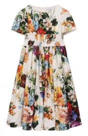 Хлопковое платье Dolce&Gabbana