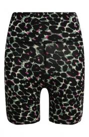 Хлопковые шорты Electric and Rose