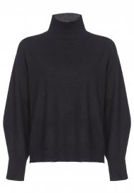 Водолазка Pinko