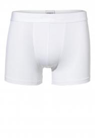 Боксеры ZIMMERLI