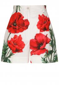 Шорты Dolce&Gabbana