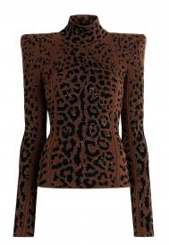 Водолазка Roberto Cavalli