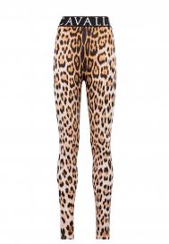 Легинсы Roberto Cavalli