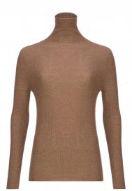 Водолазка Fabiana Filippi