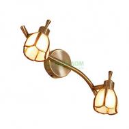 Спот  Альтен (CL522521) Citilux