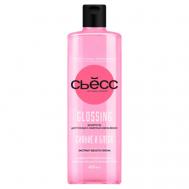 Шампунь Сьёсс Glossing 450 мл Сьёсc