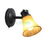 Спот  Трек CL560515 Citilux