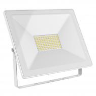 Прожектор светодиодный  LED 100W 7000lm IP65 6500К белый 1/12 Gauss