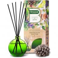 Диффузор ароматический  Aroma Sticks Aromatherapy Жизненная энергия, 70 мл Breesal