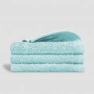 Комплект махровых салфеток  Пуатье голубой 30х30 см Togas