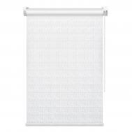 Рулонная штора  Twist Black-Out белая 60х160 см FixLine Amigo