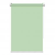 Рулонная штора  Basic зеленая 80х160 см FixLine Amigo