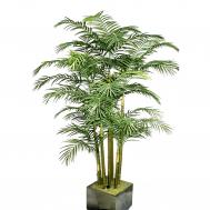 Пальма арека  228 см Конэко-О