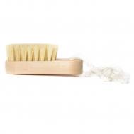 Щетка  маленькая овальная, тампико, 110х40 мм GLEDENIKA