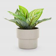 Растение искусственное  в кашпо 22 см Dekor pap