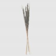 Сухоцветы  IJ0056 90-100 см Dekor pap