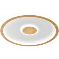 Светильник потолочный  FR5421CL-L80BG Фрея