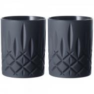 Набор стаканов низких  Noblesse черный матовый 2 шт 295 мл Nachtmann