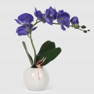 Орхидея  567_10163185 в белом кашпо 40 см Конэко-О