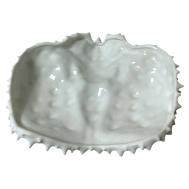 Тарелка Veles Средиземноморье плоская голова краба Велес