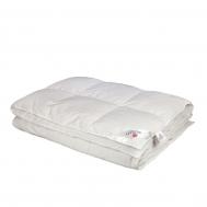 Одеяло  Down 100% кассетное 172х205 см Belashoff